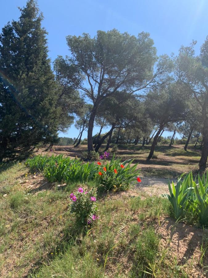 Un Soir Sous Les Etoiles Bed & Breakfast Chateauneuf-de-Gadagne Exterior photo